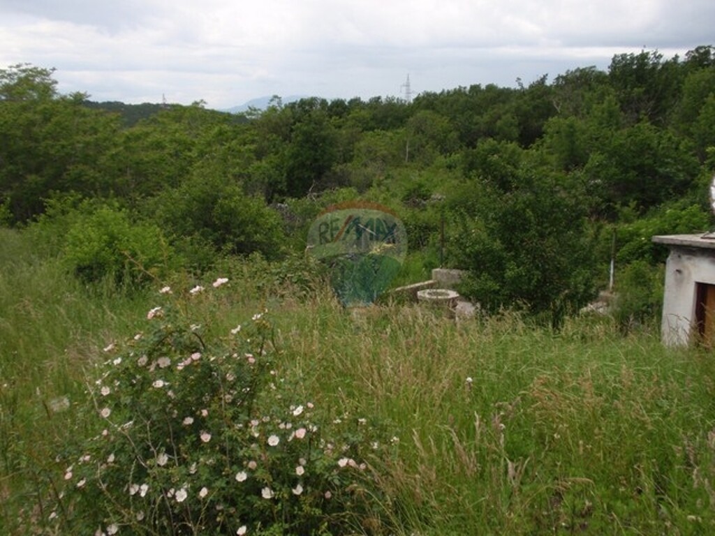 Image 5411112 - 2