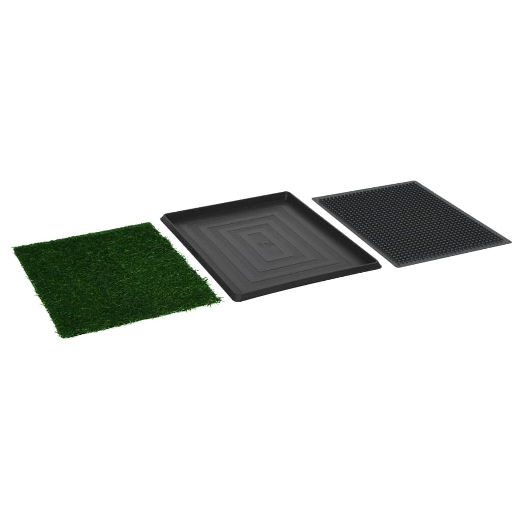Image 4