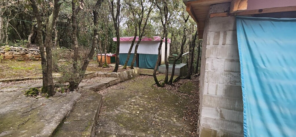 Image 13