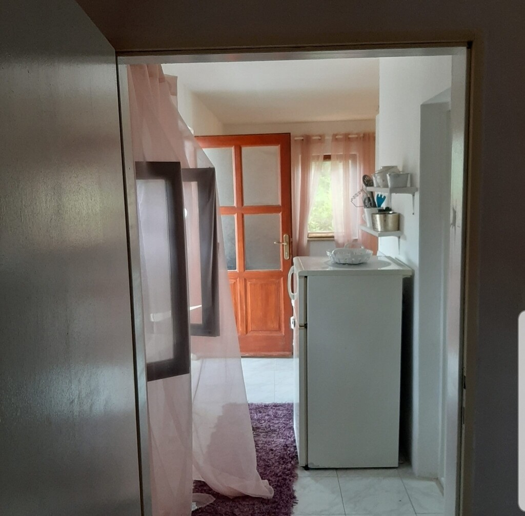 Image 13