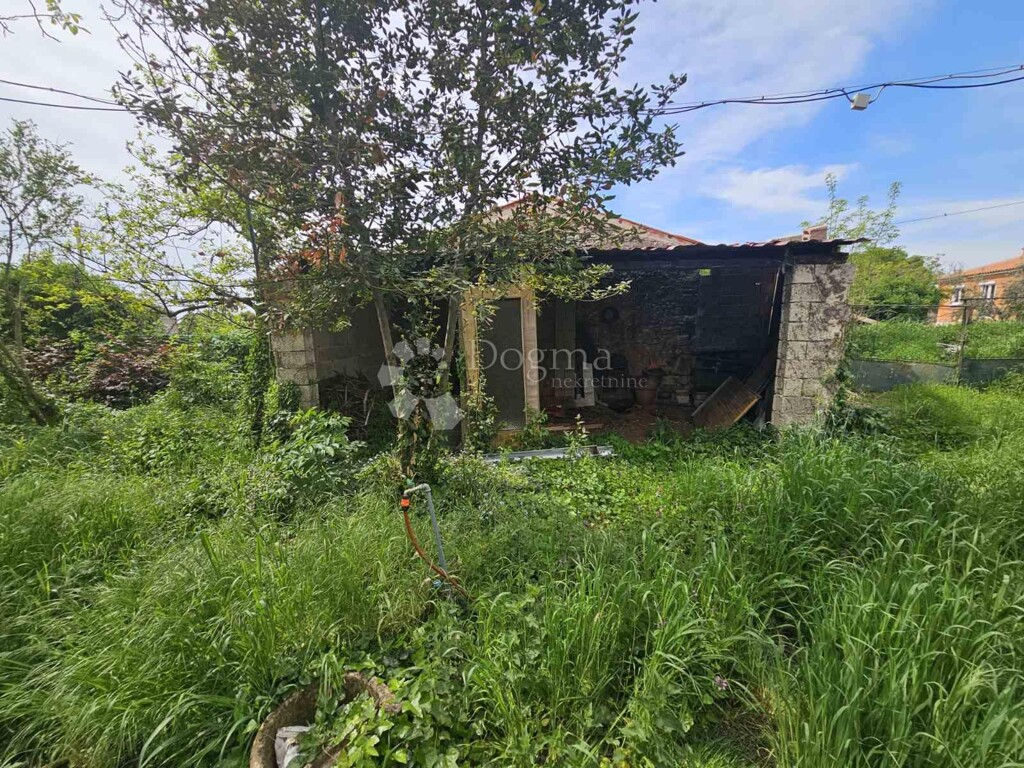 Image 22