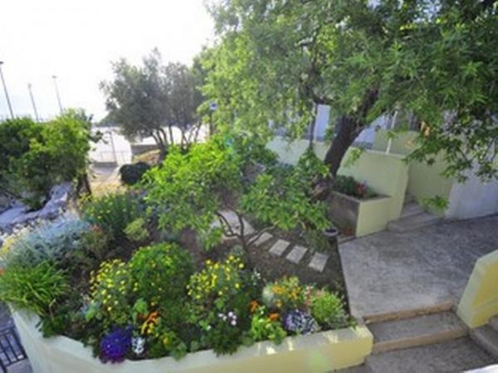 Image 3838482 - 6