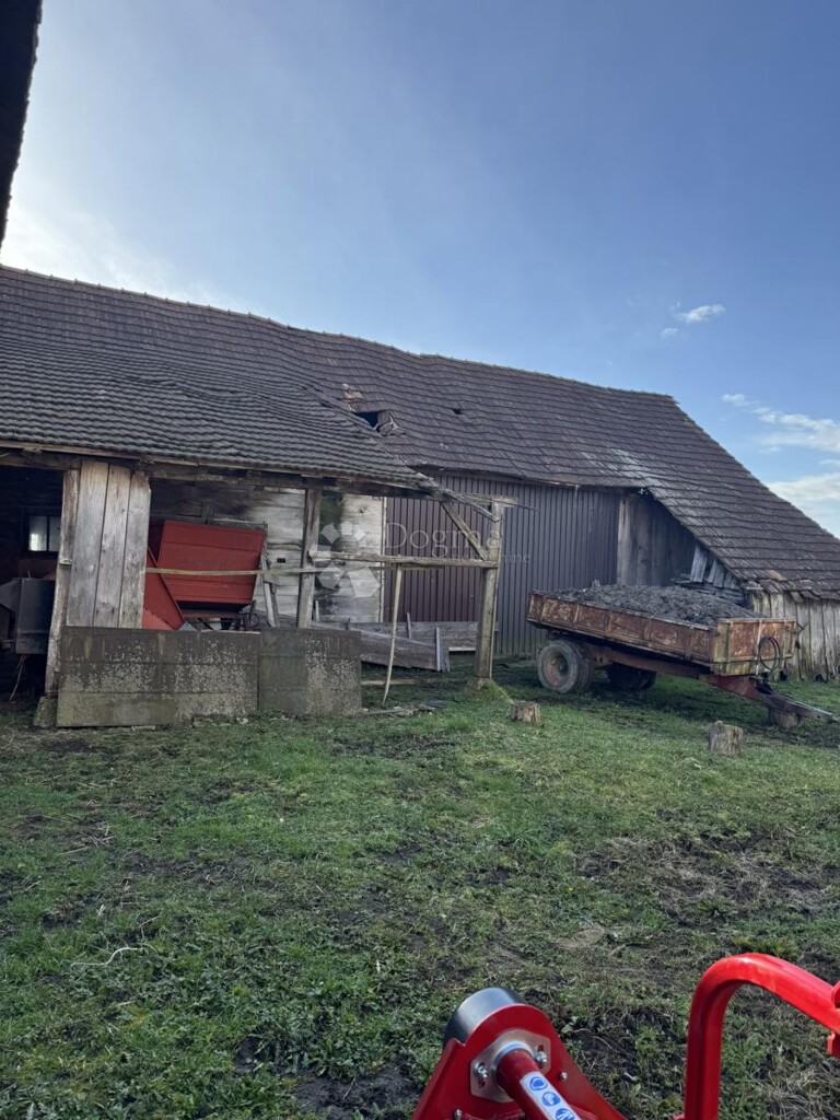 Image 21