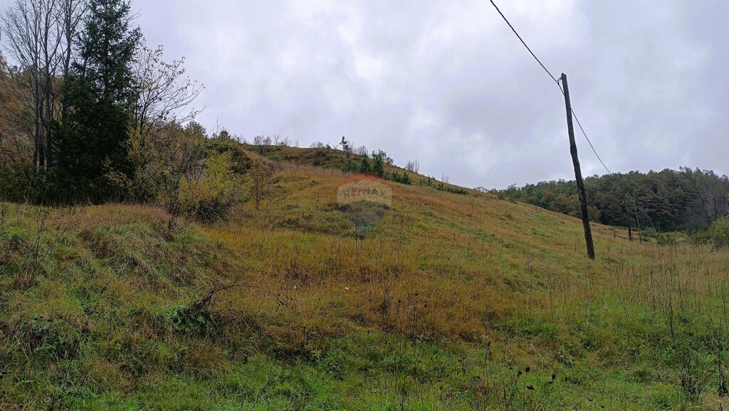 Image 6135858 - 19