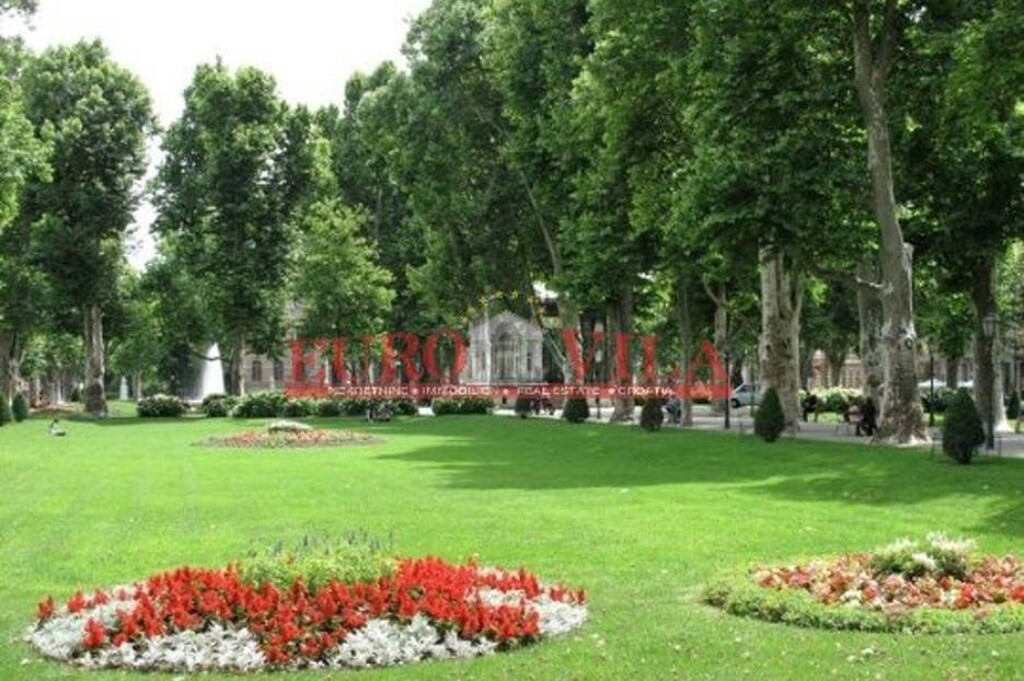Image 5032653 - 2