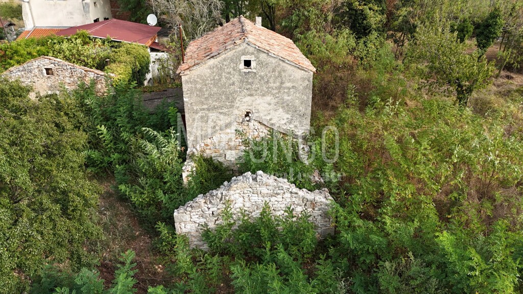 Image 6094516 - 6
