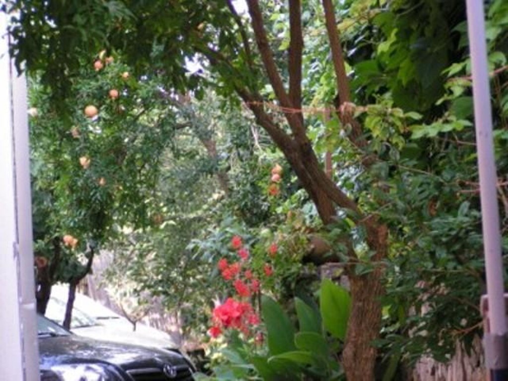 Image 3838786 - 16