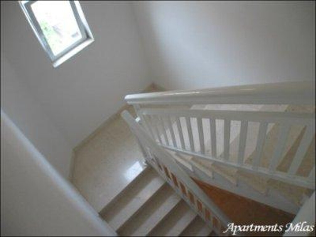 Image 3811491 - 9