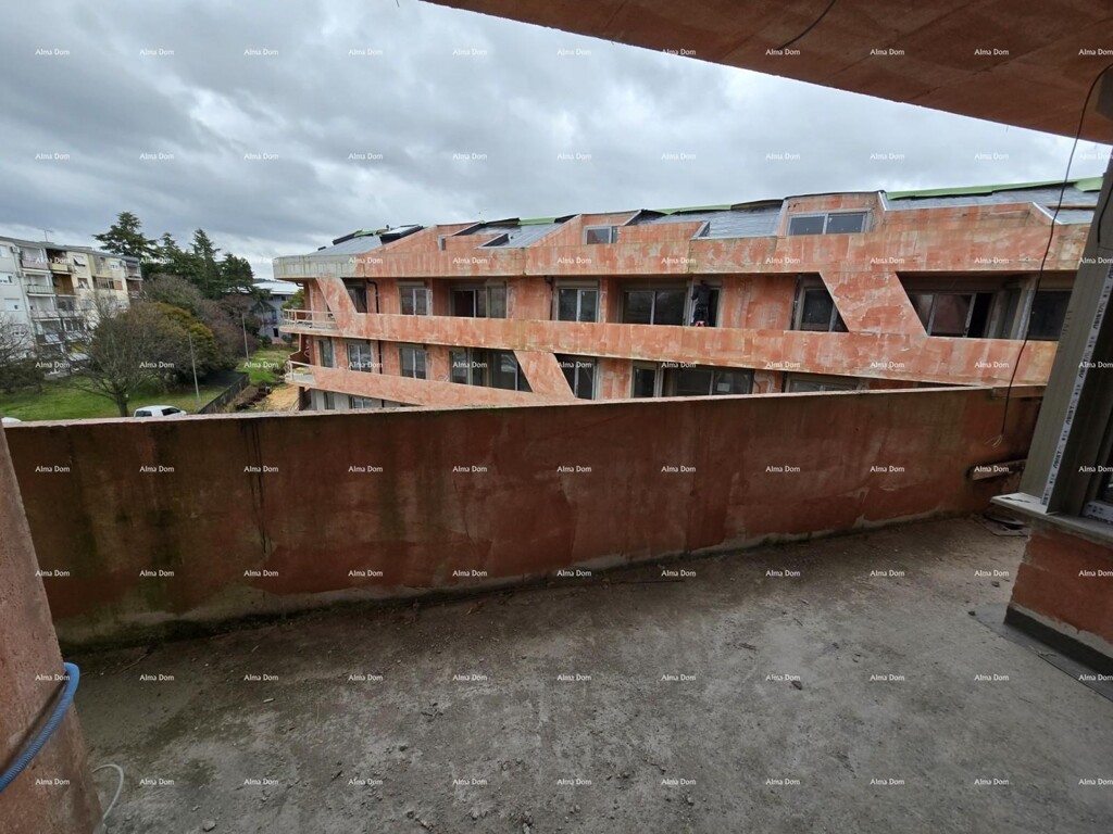Image 25