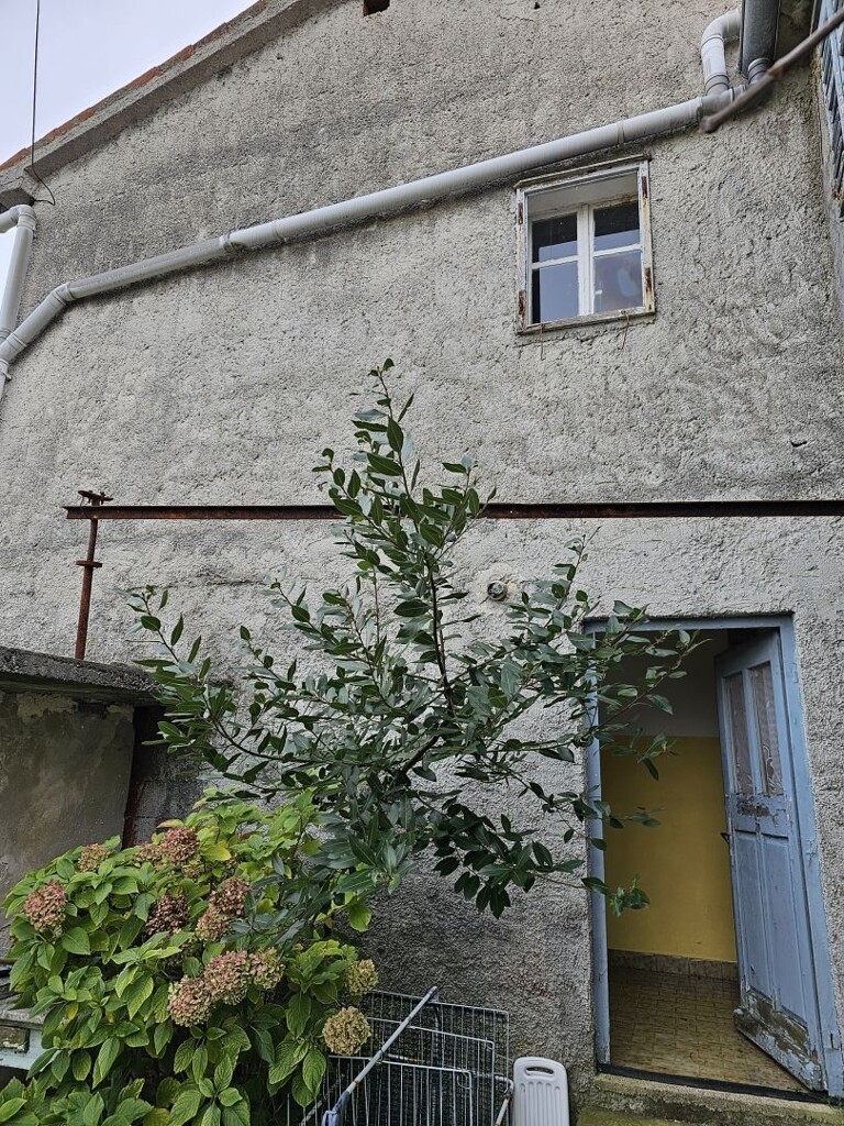 Image 14