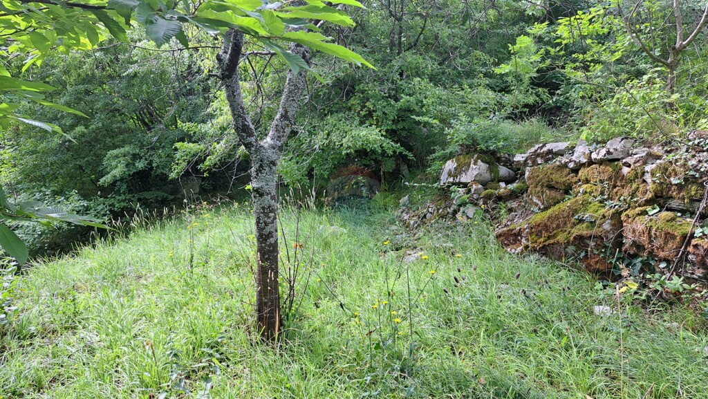 Image 5429440 - 6