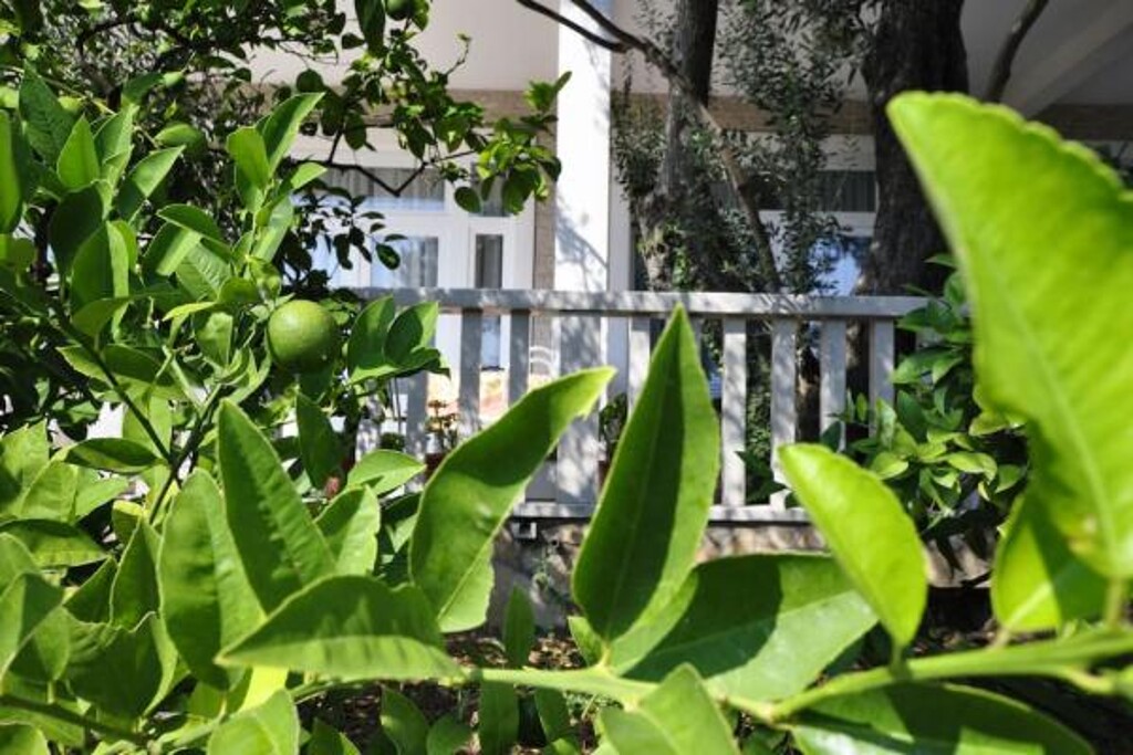 Image 3813412 - 24