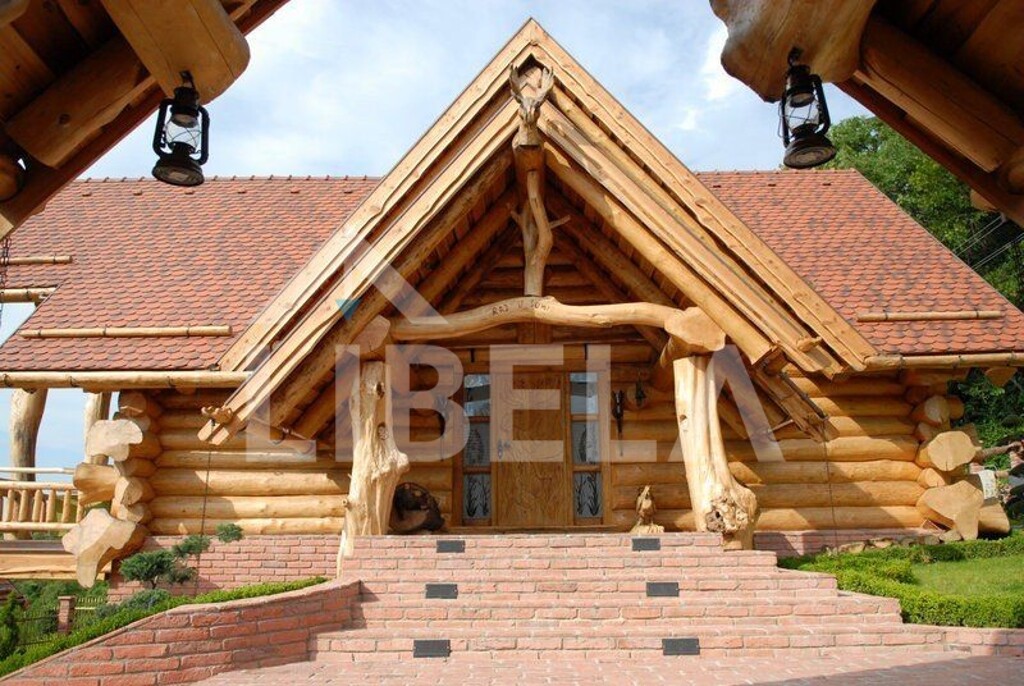 Image 13