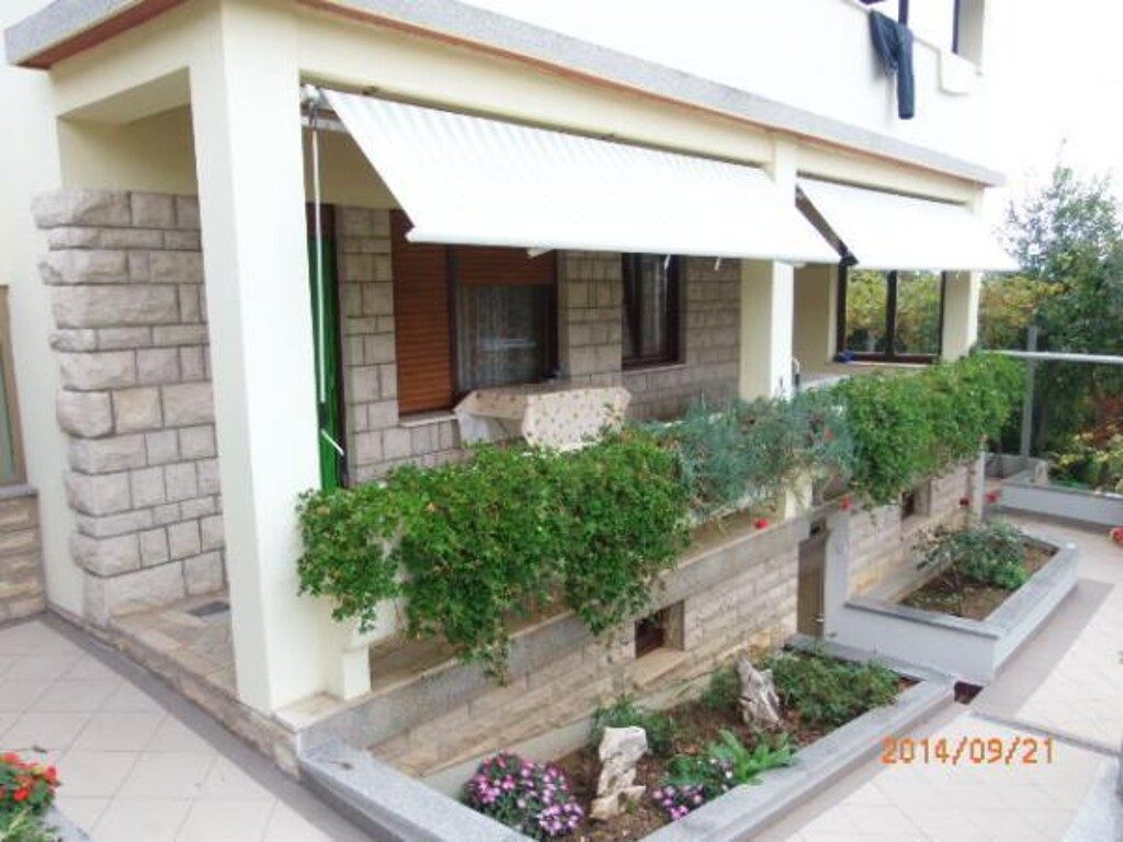 Image 3812594 - 1