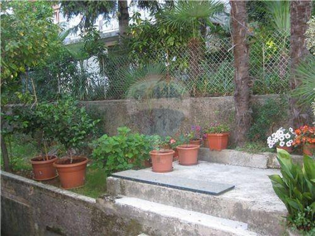 Image 5411365 - 15