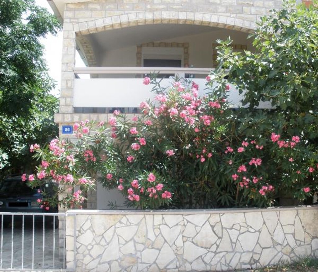 Image 3812278 - 1