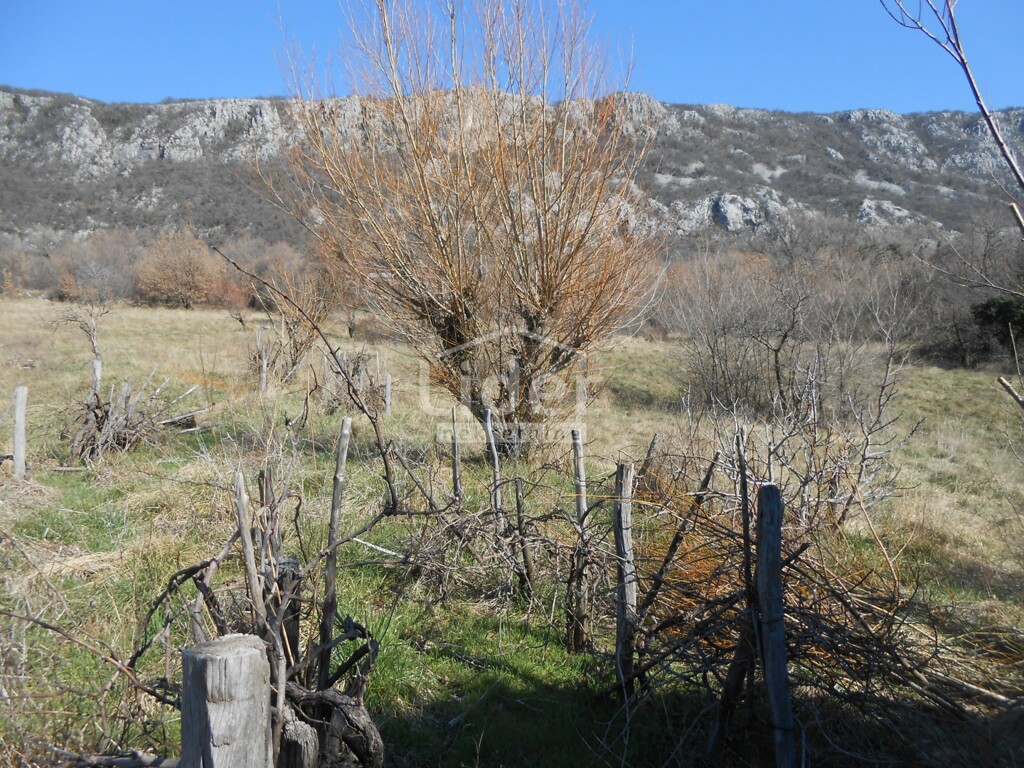 Image 5383974 - 14
