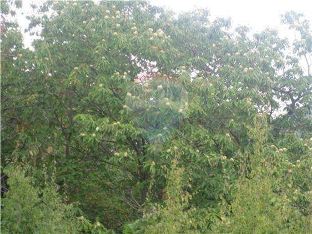 Image 5411415 - 3
