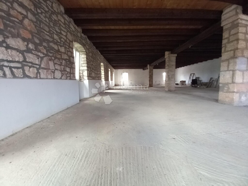Image 19