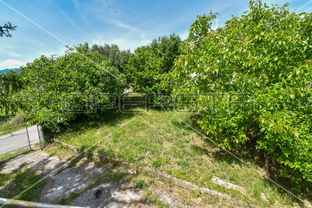 Image 23