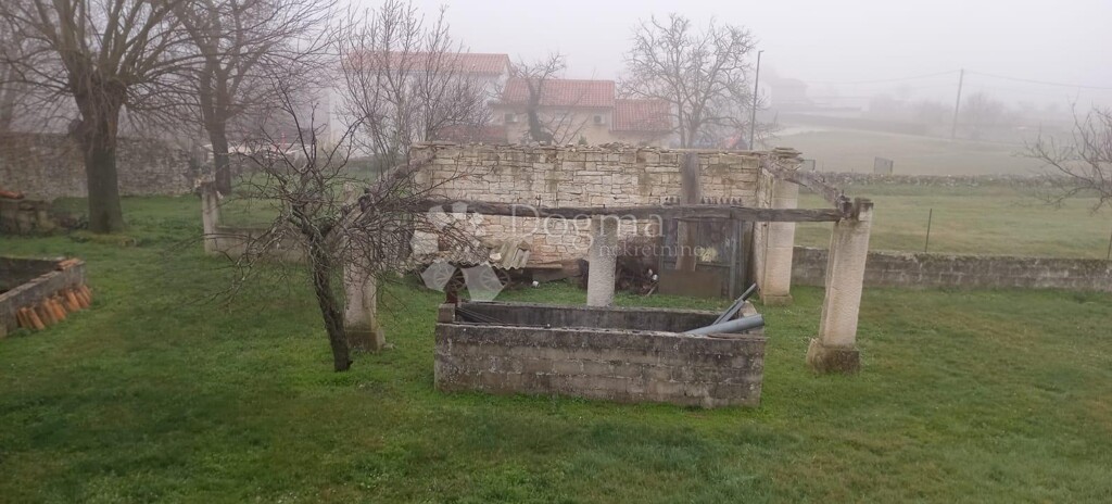 Image 13