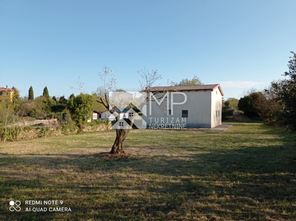 Image 6185954 - 1