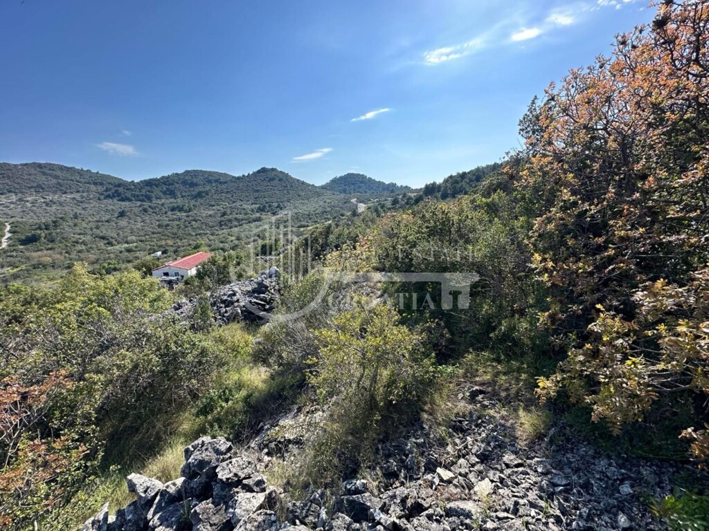 Image 35