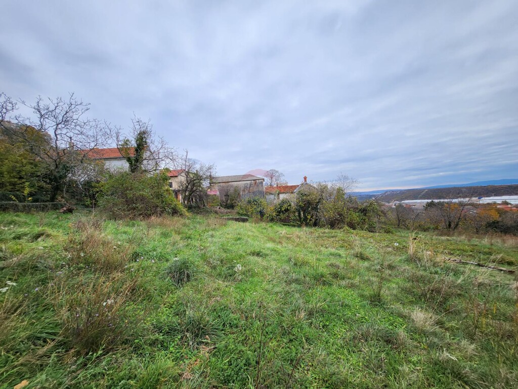 Image 15