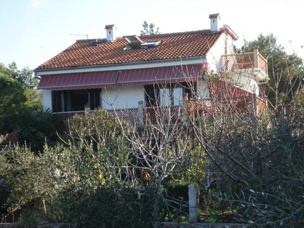 Image 3814403 - 1