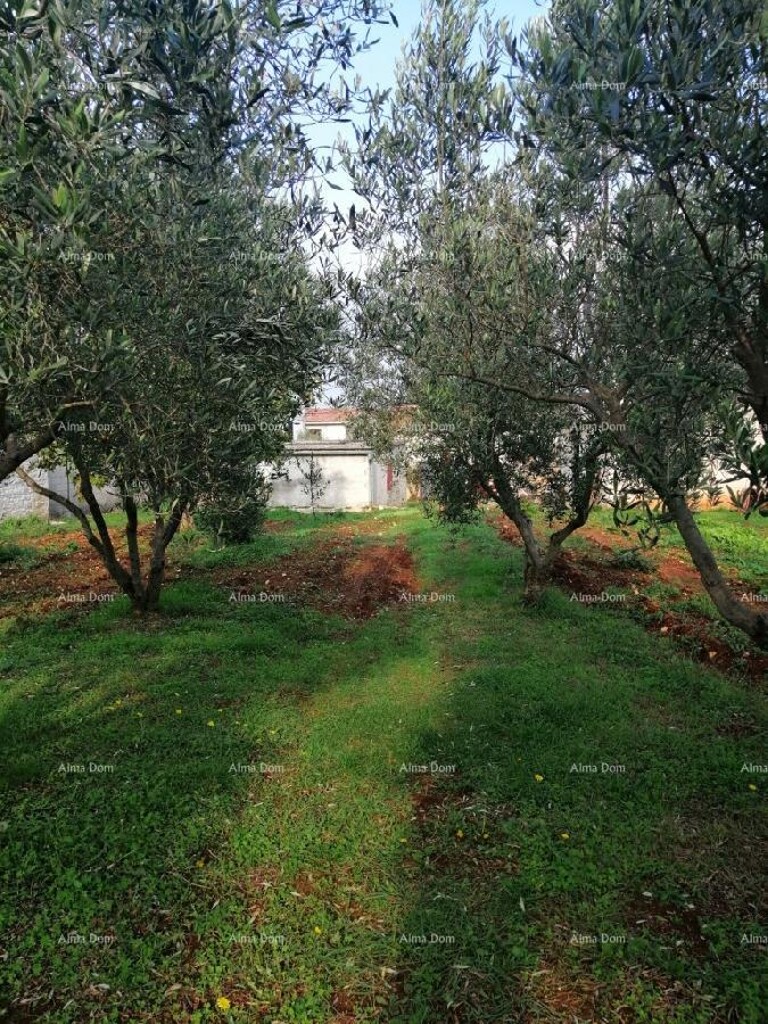 Image 18
