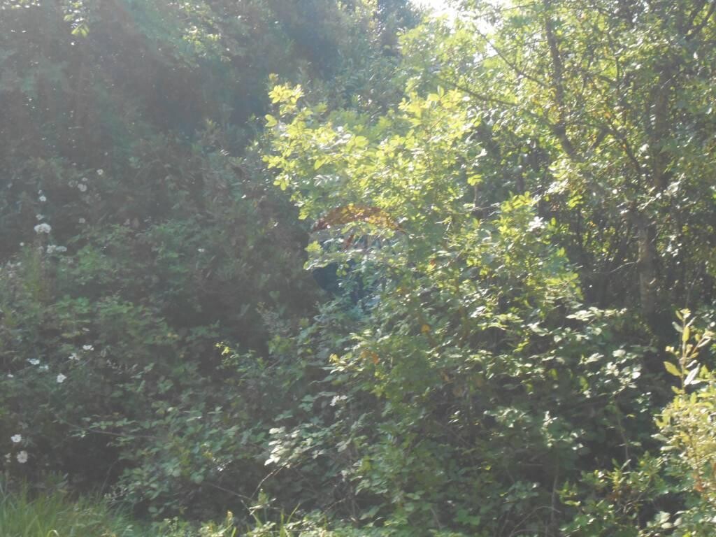 Image 5410506 - 9