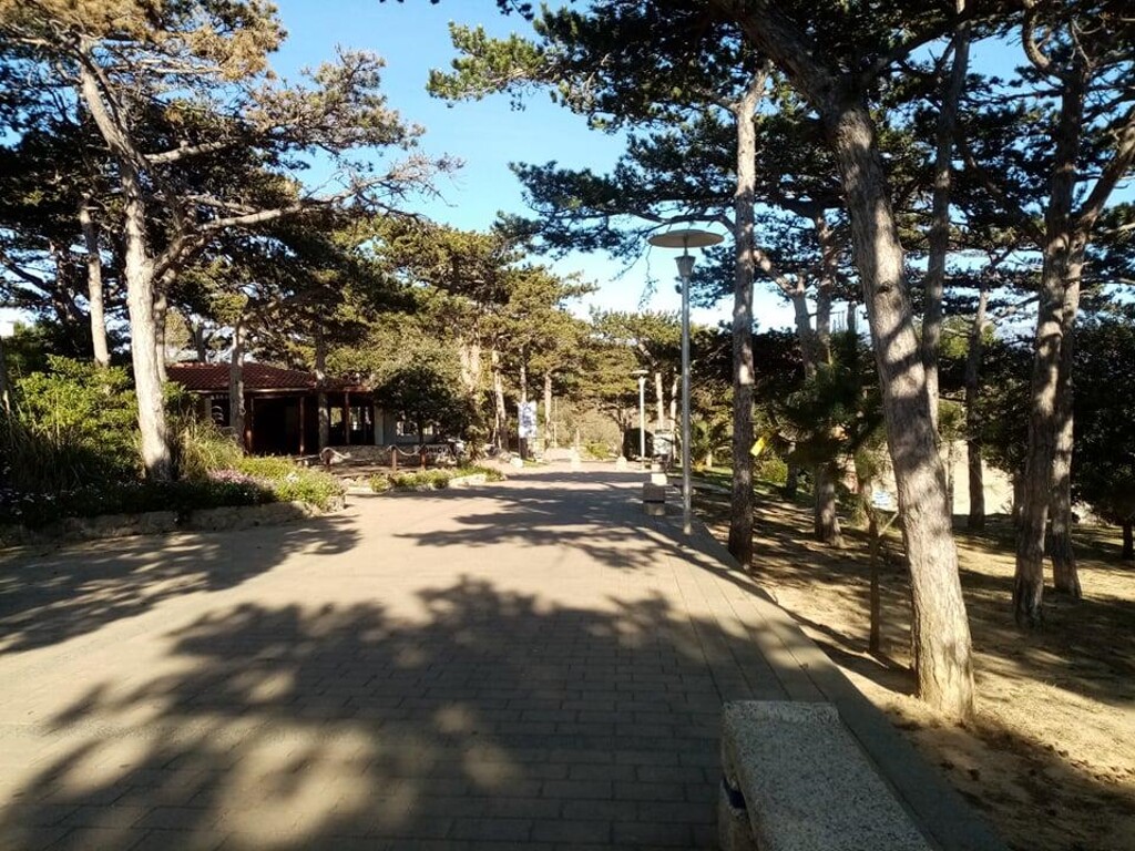 Image 3813322 - 20