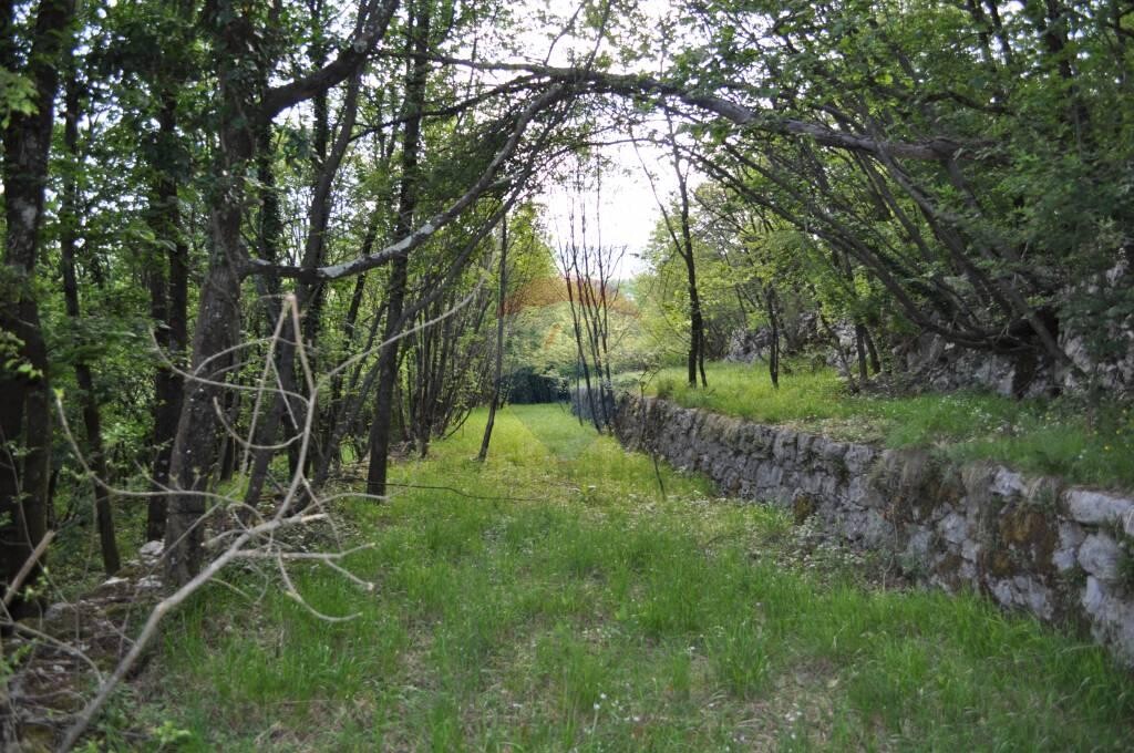 Image 5410521 - 3