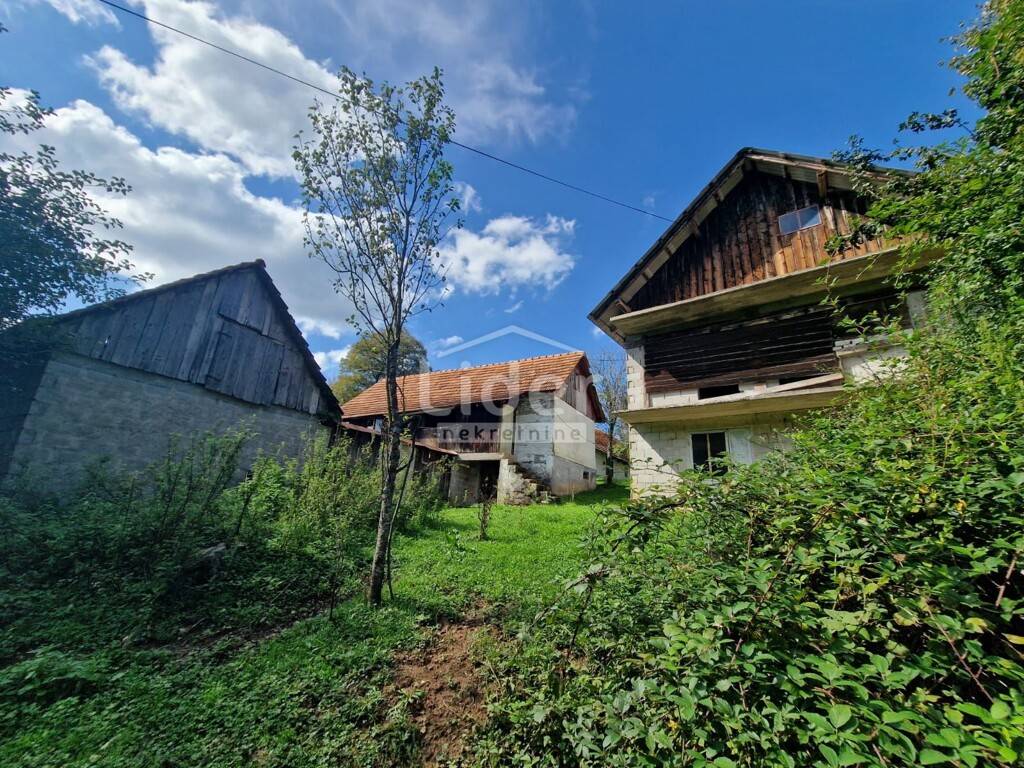 Image 6150386 - 4