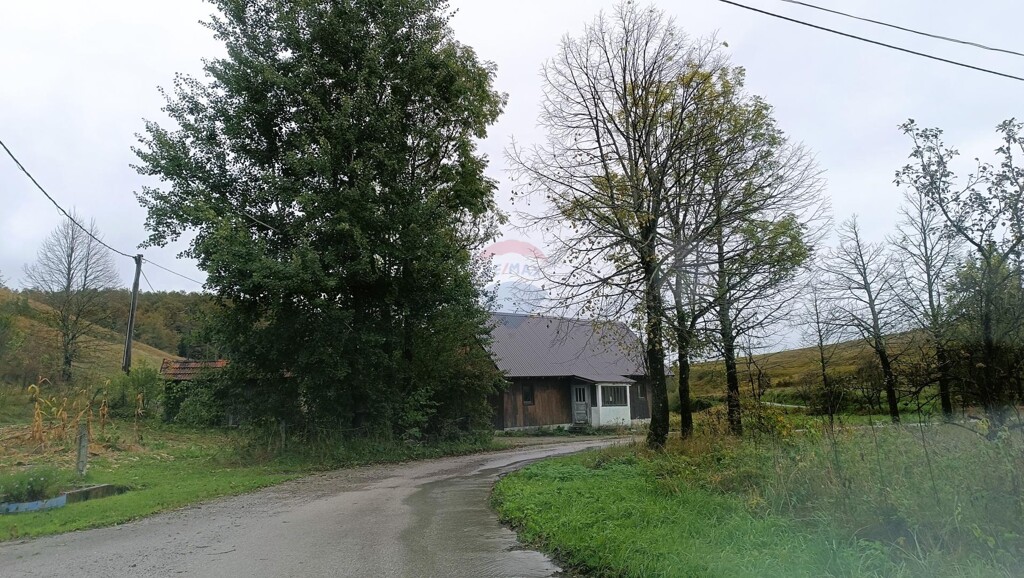 Image 6135858 - 22