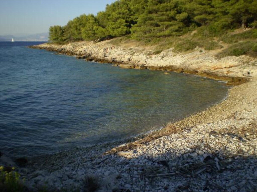 Image 3812312 - 9