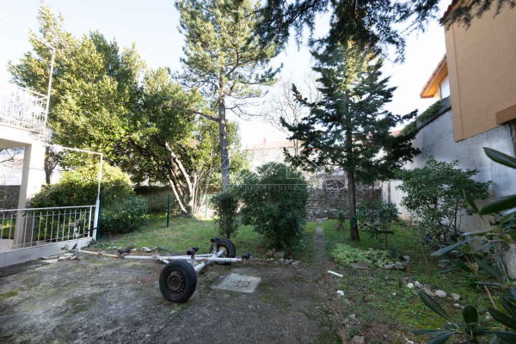 Image 14