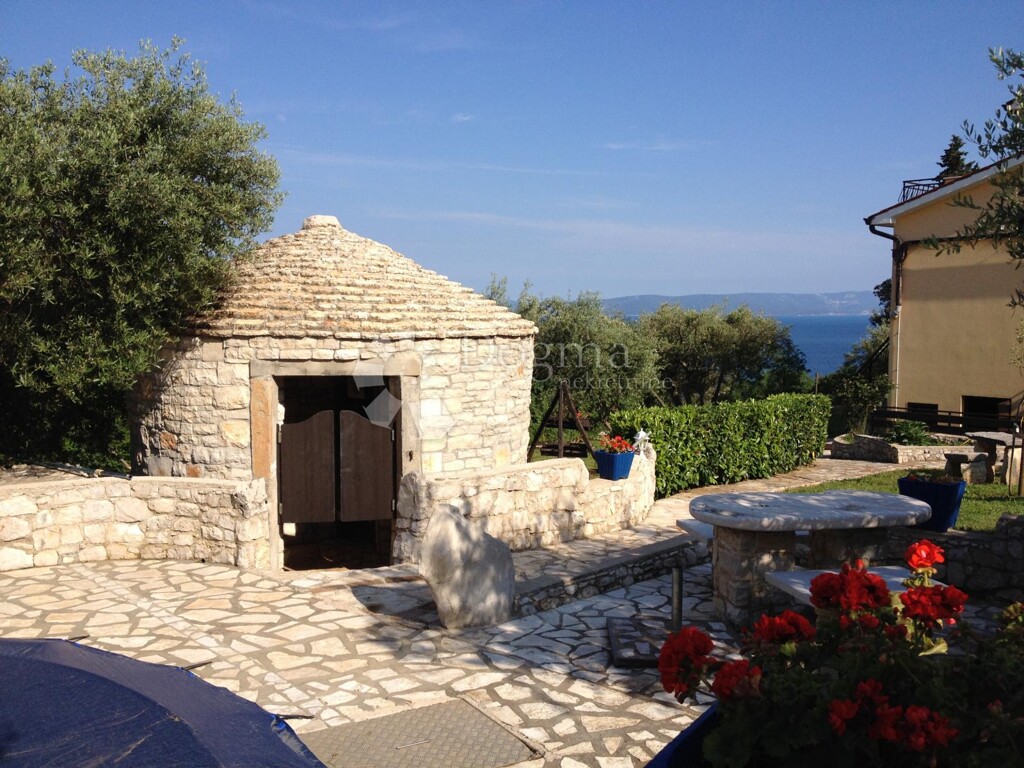 Image 12