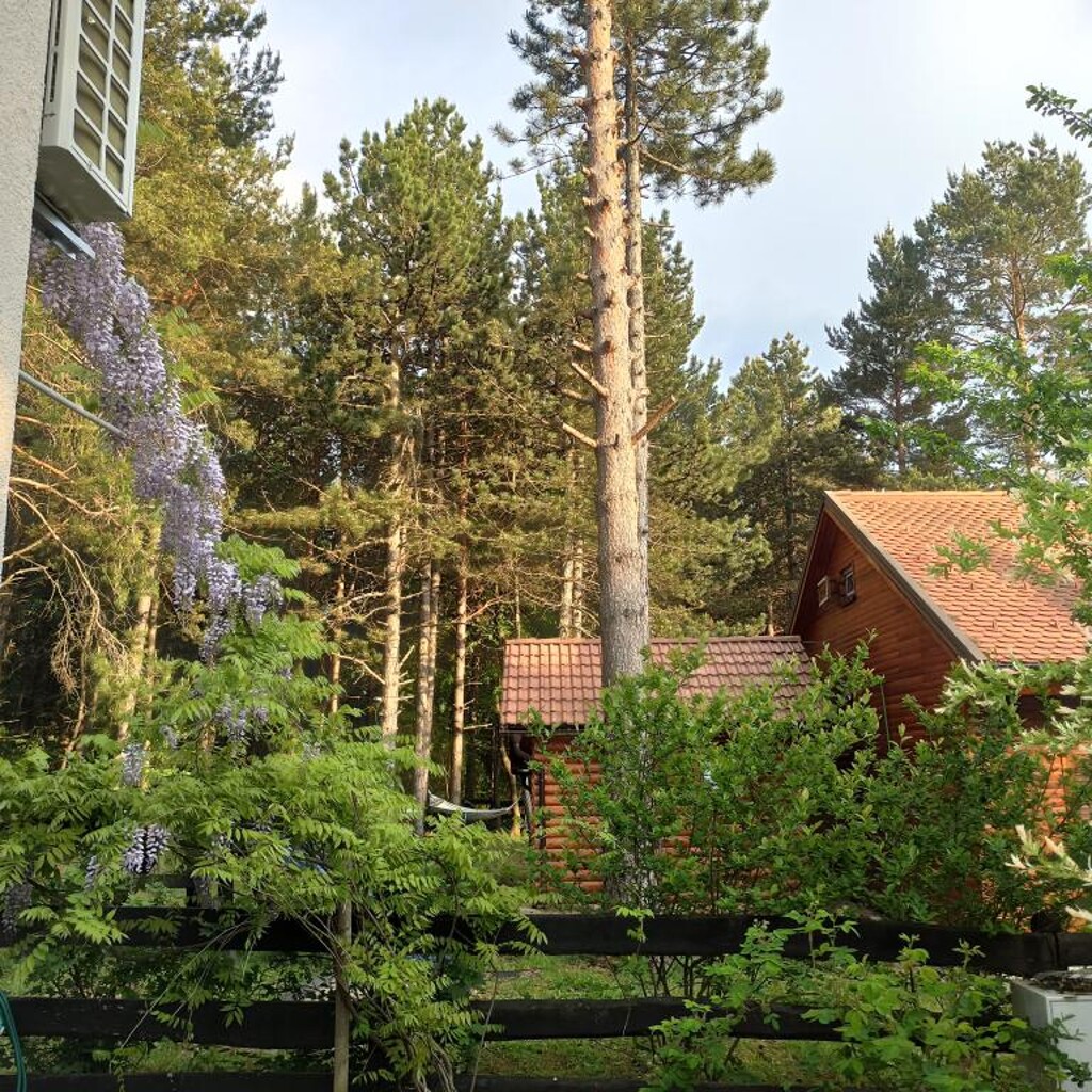 Image 3838431 - 4