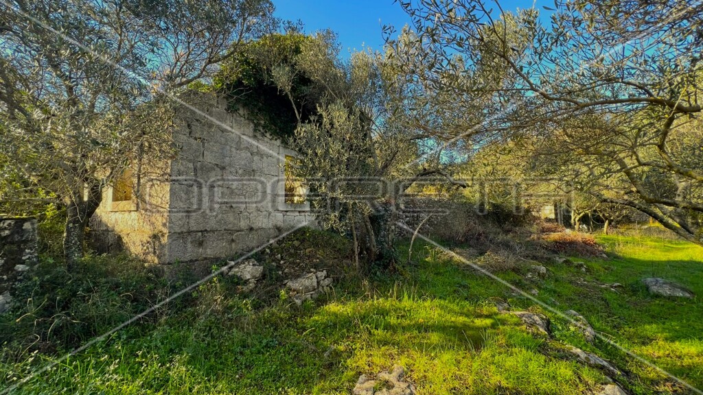 Image 6158224 - 1