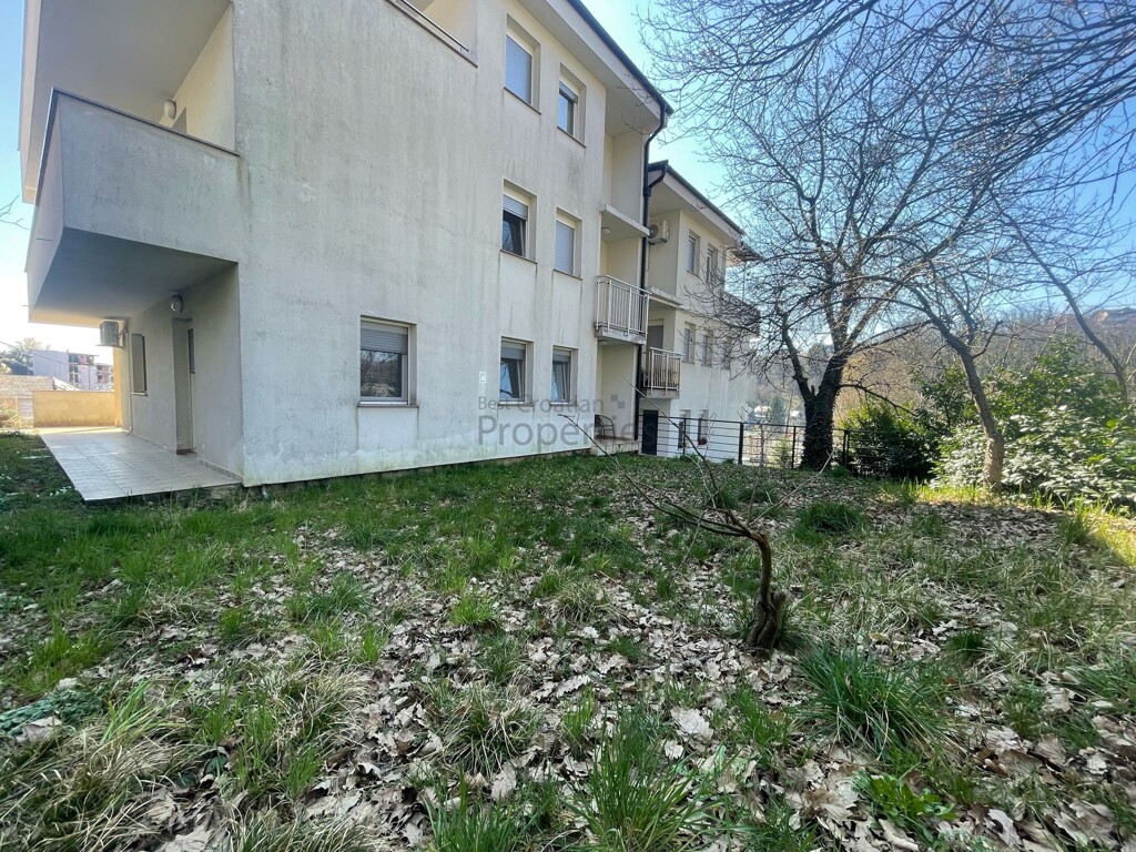 Image 22