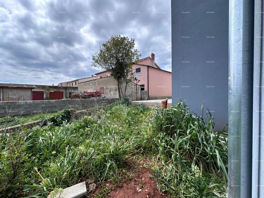 Image 30