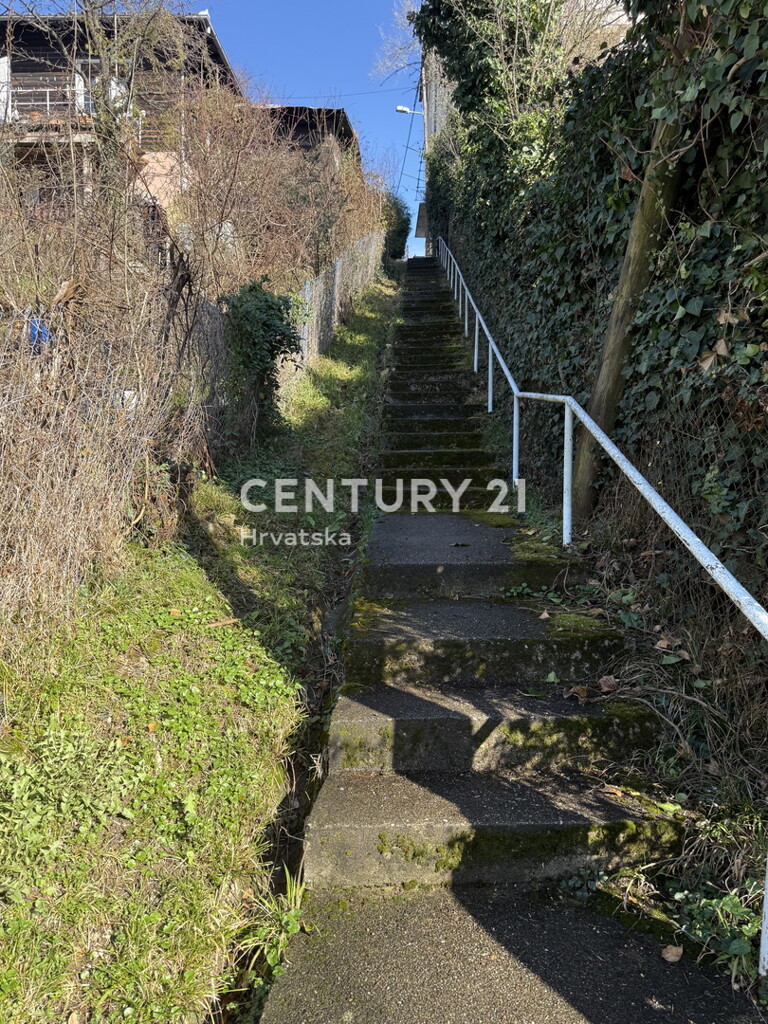 Image 19