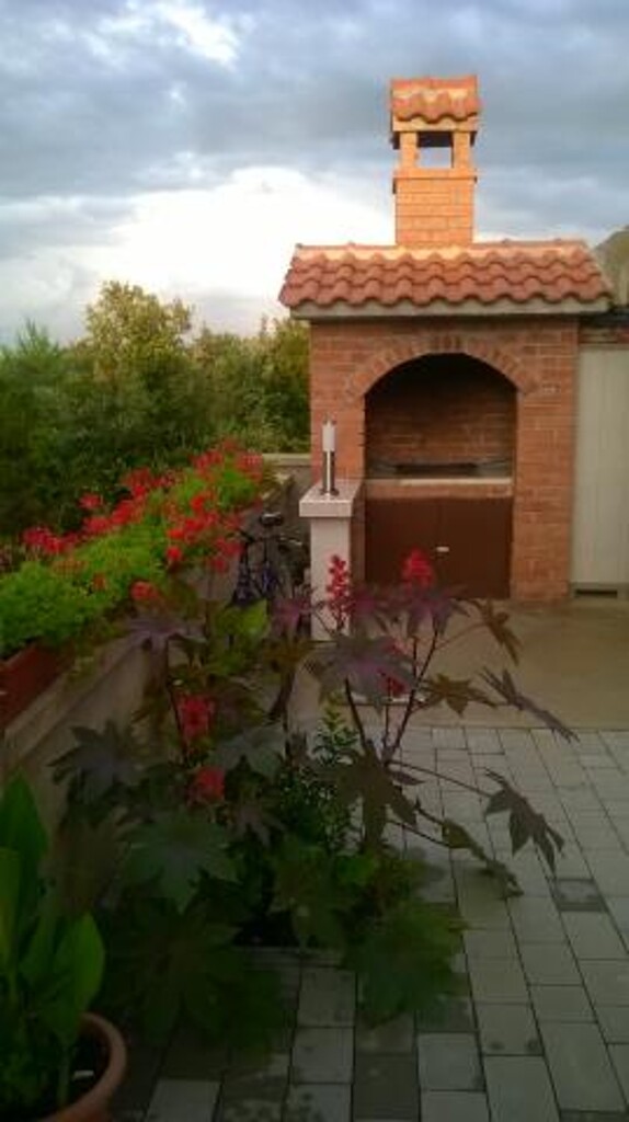 Image 3832211 - 10