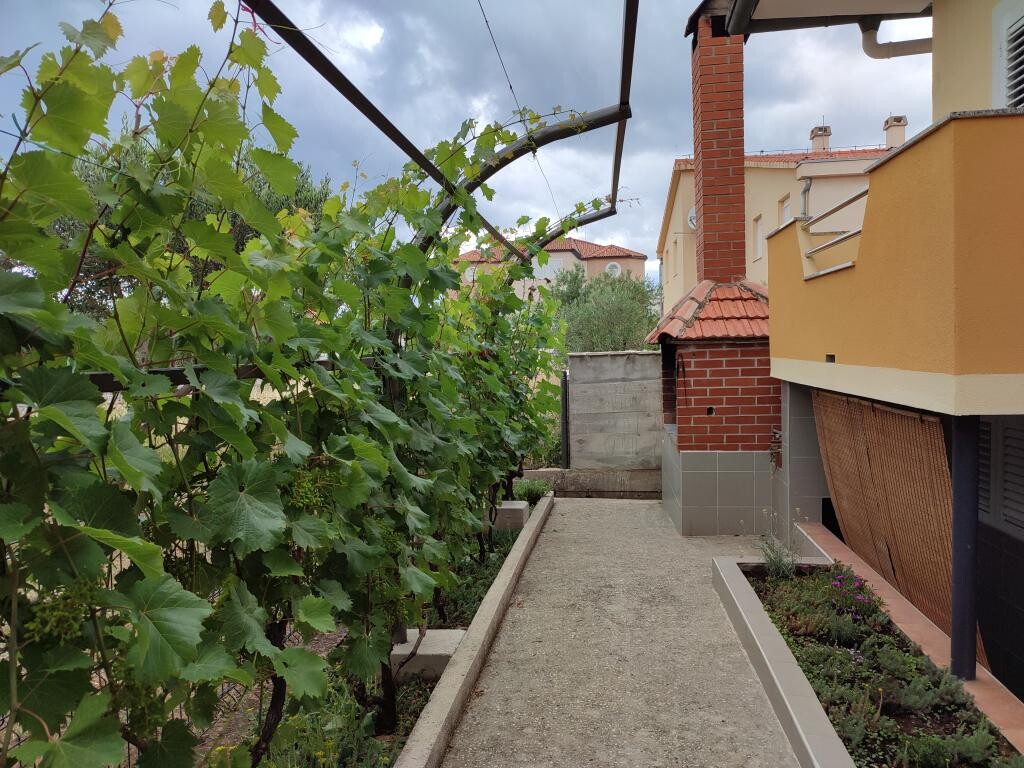 Image 12