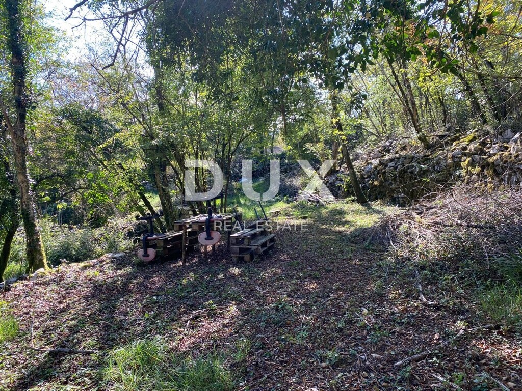 Image 15