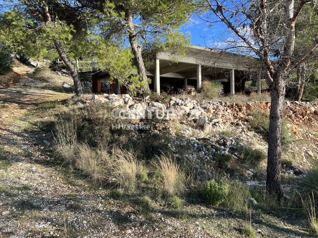 Image 12
