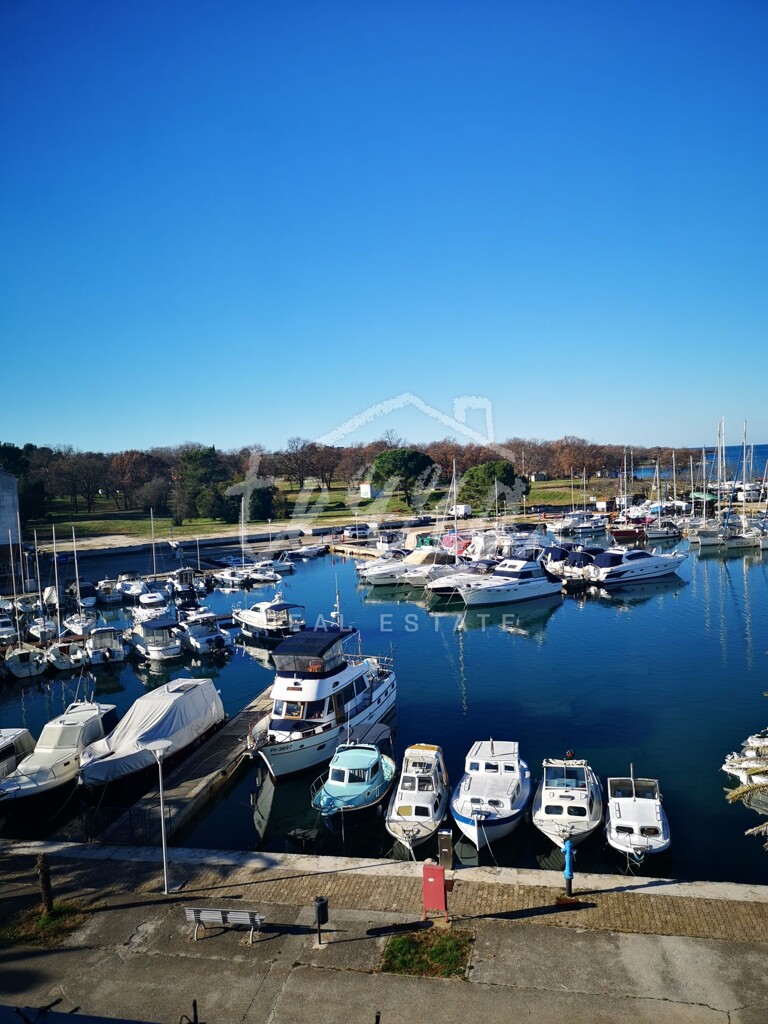 Image 10