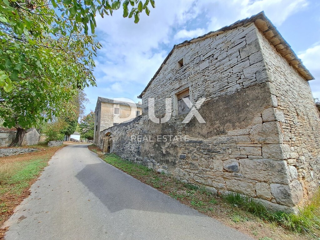 Image 15