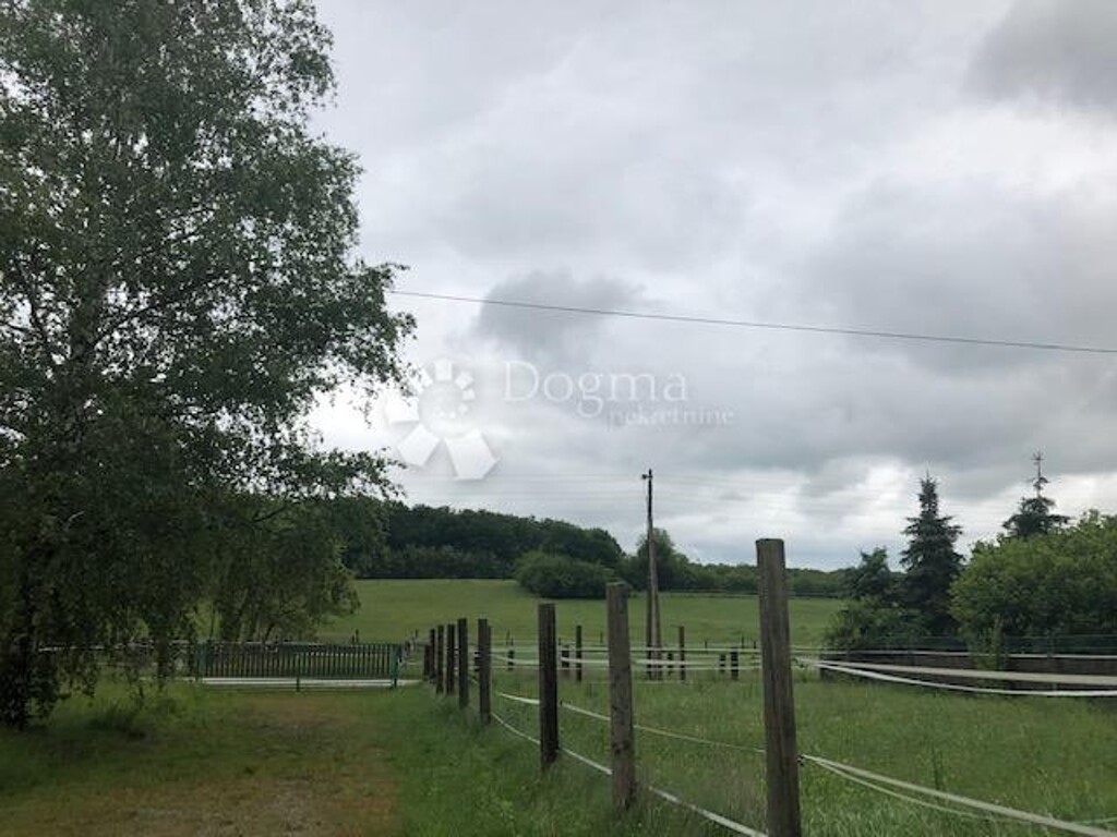 Image 14